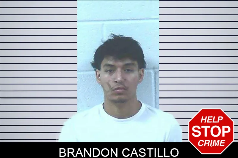Brandon Castillo Mugshots