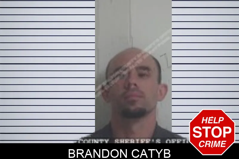 Brandon Catyb Mugshots