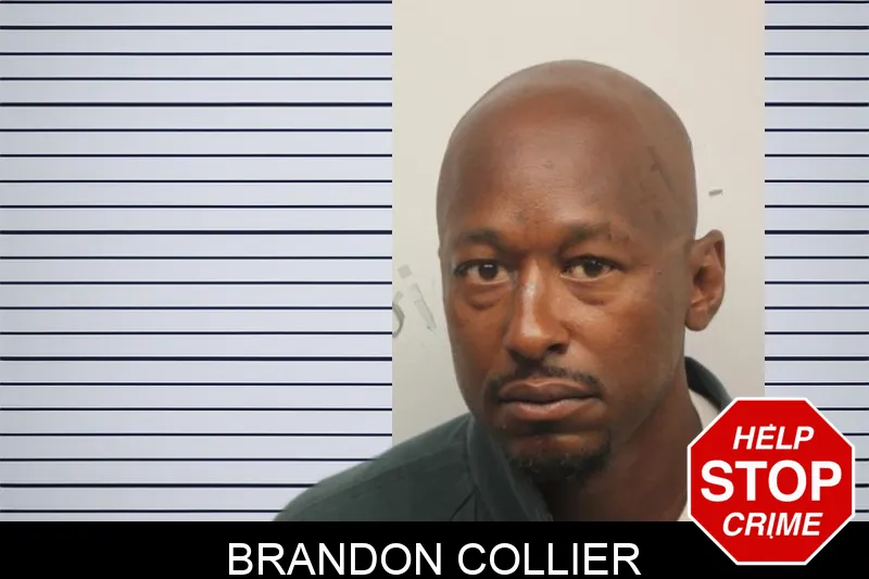 Brandon Collier Mugshots