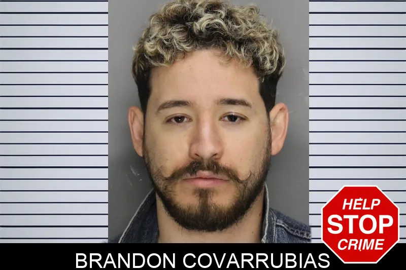 Brandon Covarrubias Mugshots