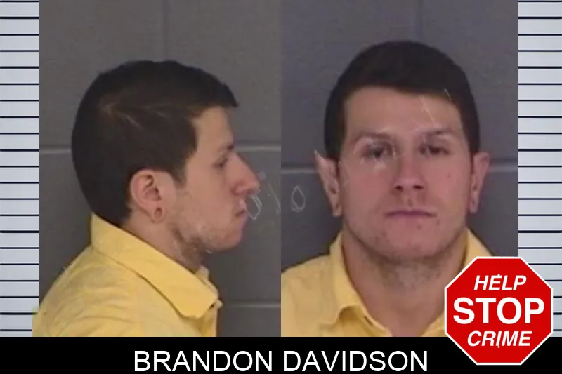 Brandon Davidson Mugshots