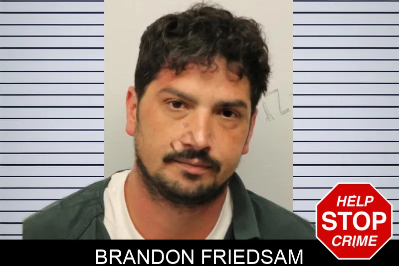 Brandon Friedsam Mugshots