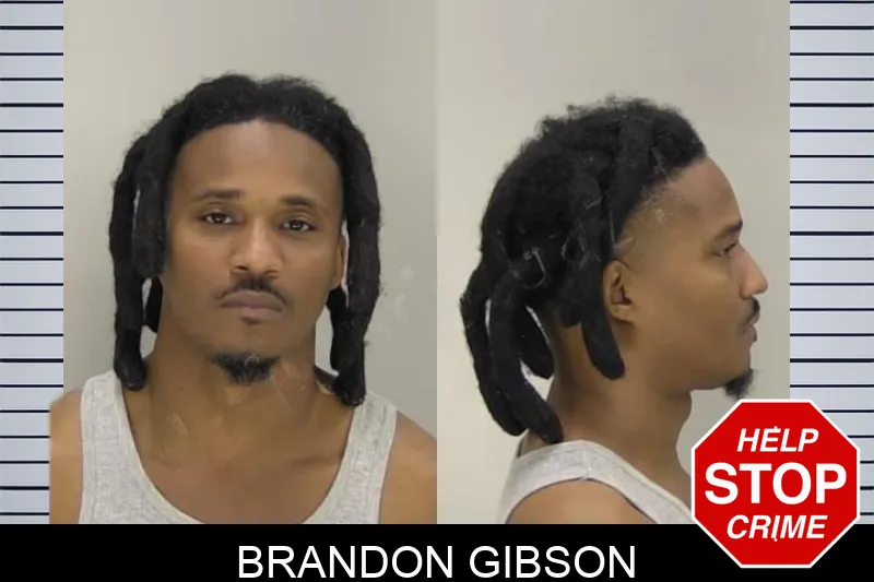 Brandon Gibson Mugshots