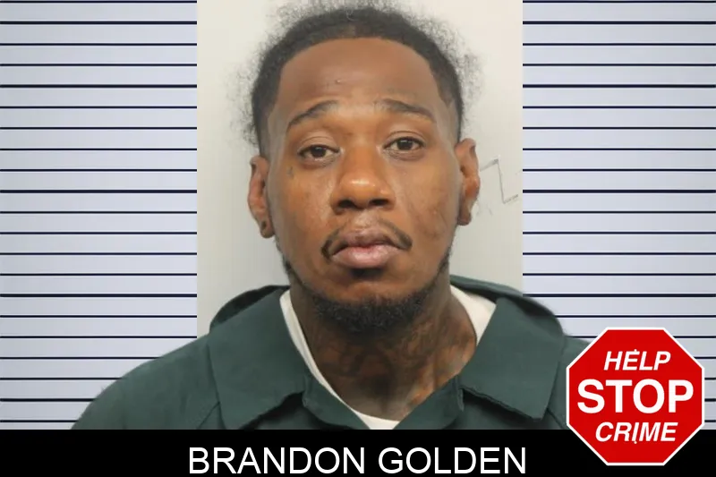 Brandon Golden Mugshots