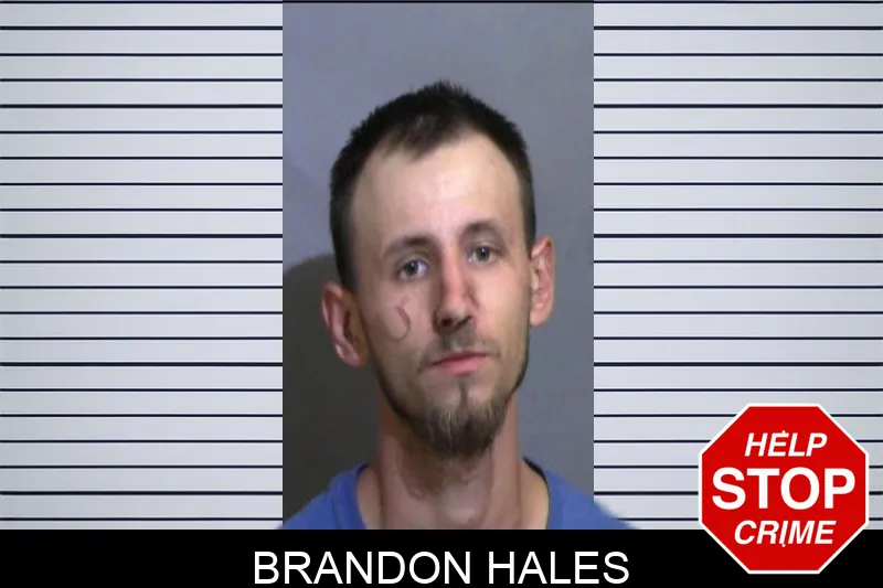 Brandon Hales Mugshots