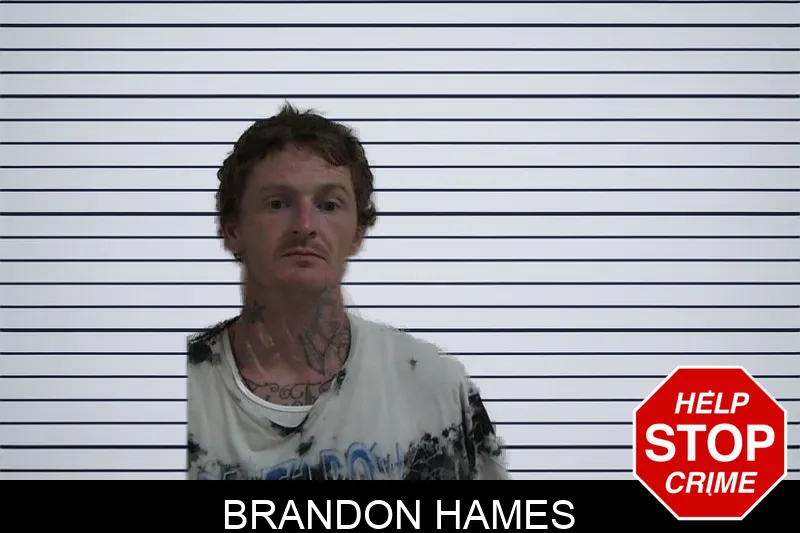 Brandon Hames Mugshots