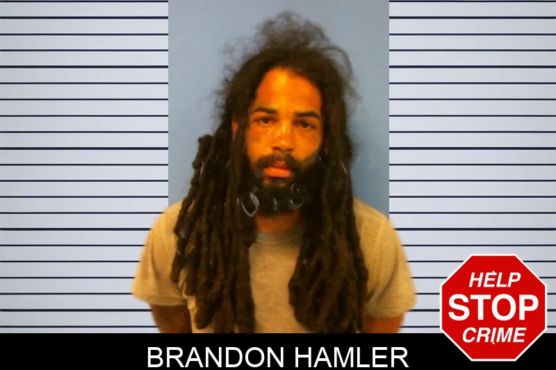 Brandon Hamler mugshot