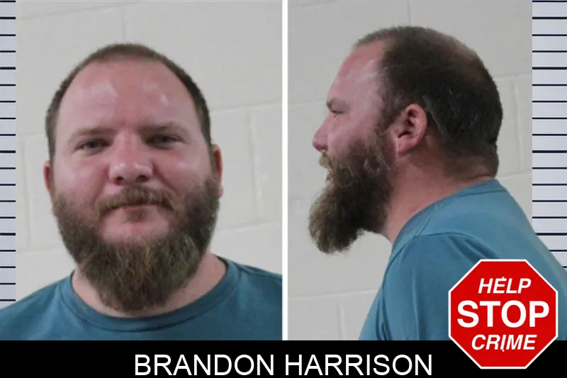 Brandon Harrison Mugshots