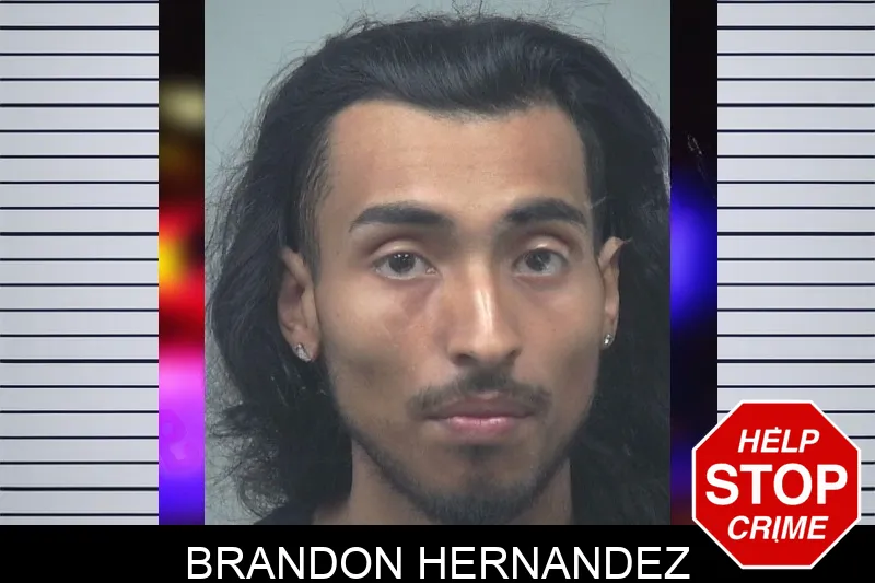 Brandon Hernandez mugshot – Gwinnett County , Georgia Brandon Hernandez mugshot