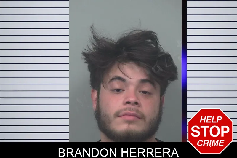 Brandon Herrera mugshot