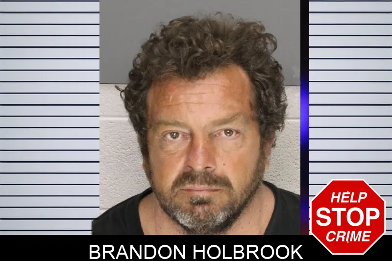 Brandon Holbrook mugshot