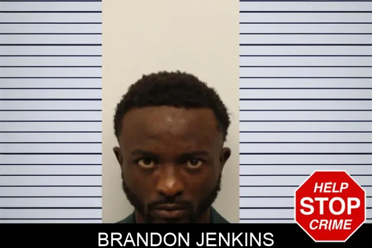 Brandon Jenkins mugshot – Chatham County , Georgia Brandon Jenkins