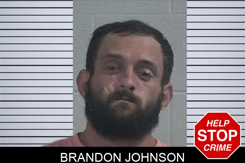 Brandon Johnson Mugshots