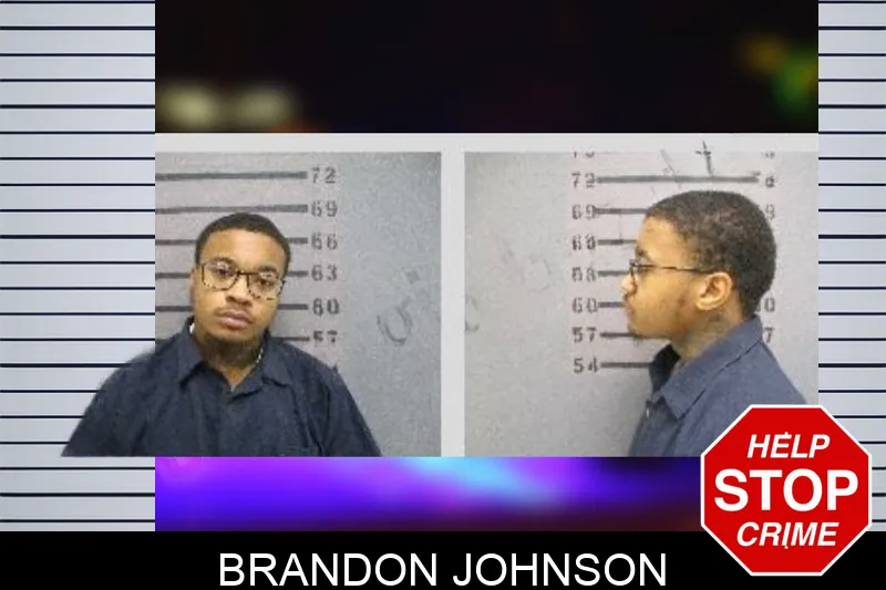 Brandon Johnson Mugshots