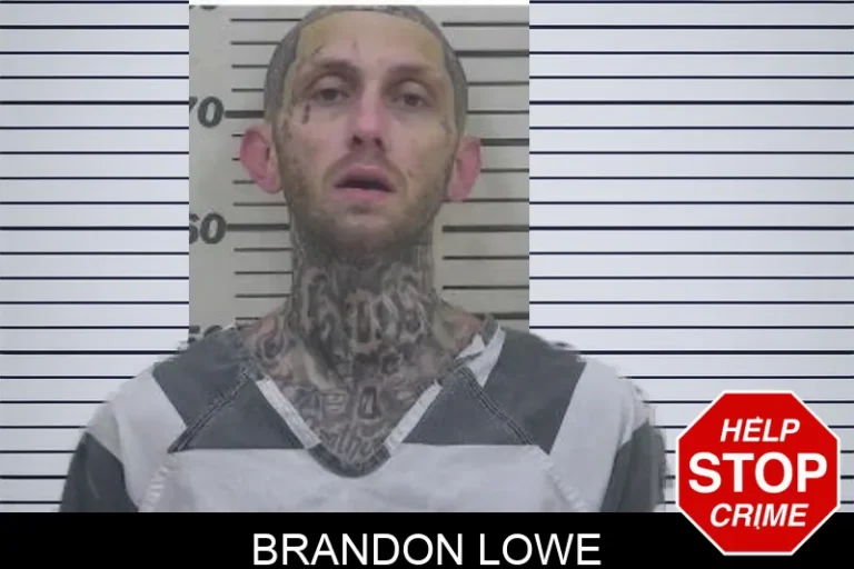 Brandon Lowe
