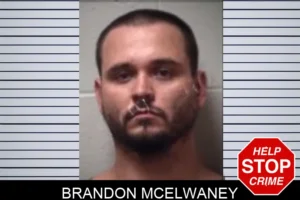 Brandon McElwaney mugshot