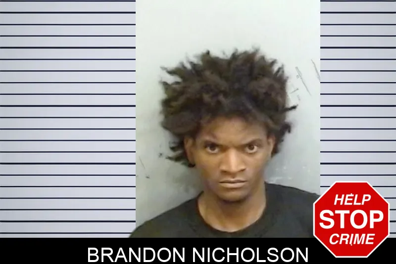 Brandon Nicholson Mugshots
