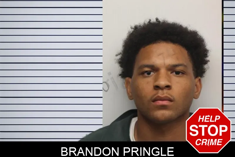 Brandon Pringle Mugshots