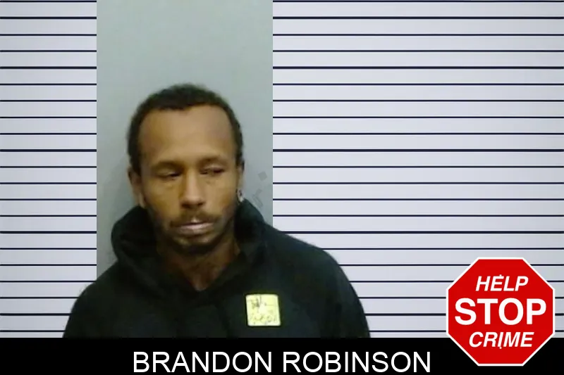 Brandon Robinson mugshot – Fulton County , Georgia Brandon Robinson mugshot