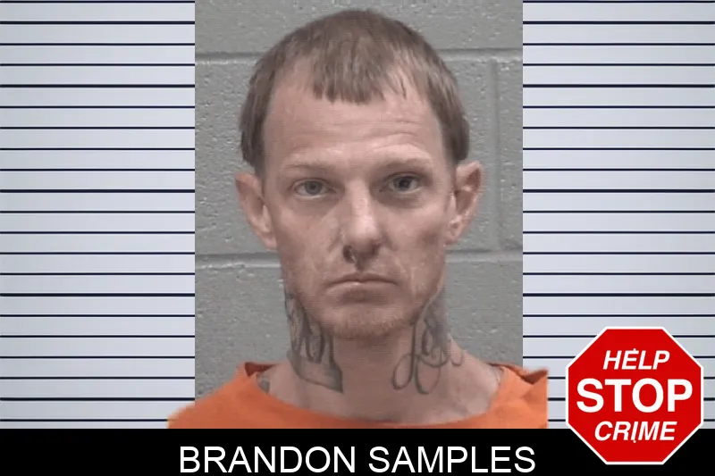 Brandon Samples Mugshots
