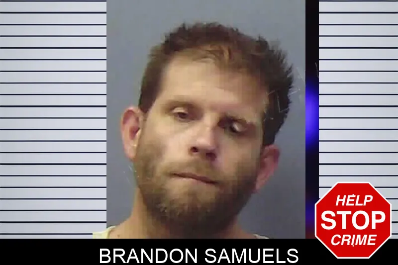 Brandon Samuels Mugshots