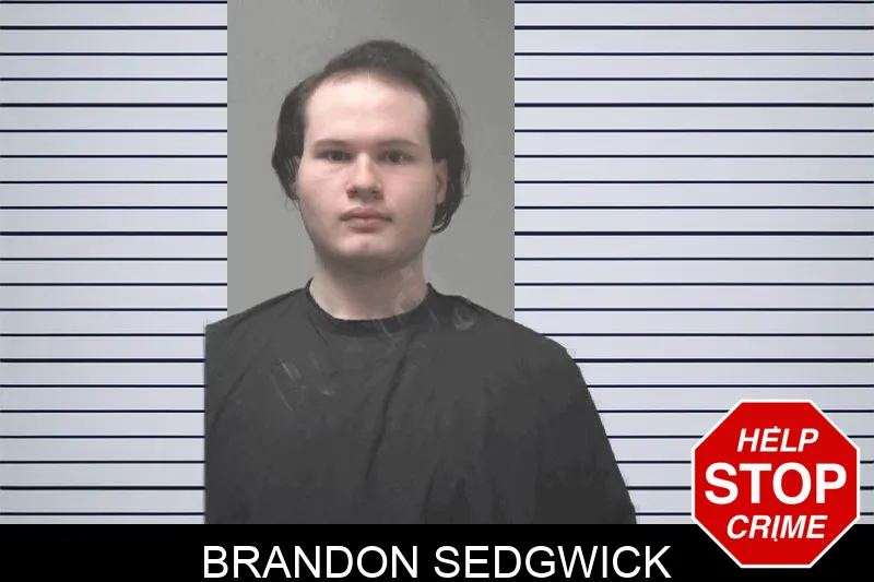 Brandon Sedgwick Mugshots