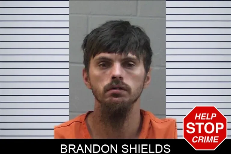 Brandon Shields mugshot – Madison County , Georgia Brandon Shields