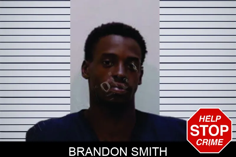 Brandon Smith Mugshots