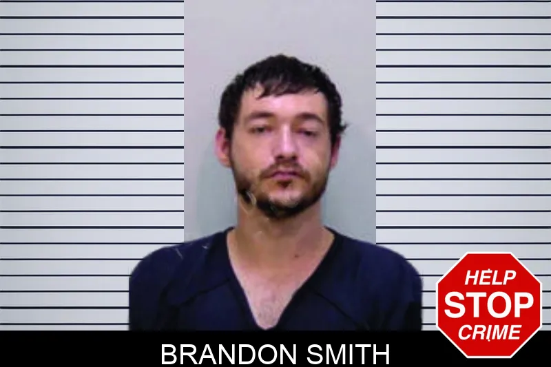 Brandon Smith Mugshots