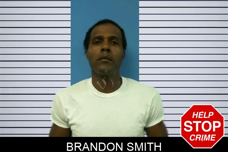 Brandon Smith Mugshots