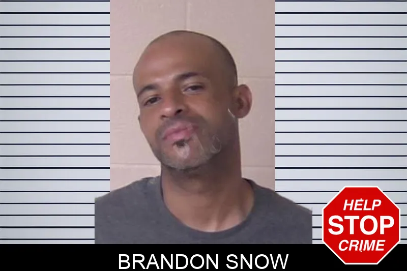Brandon Snow Mugshots