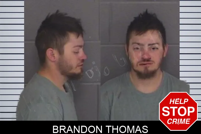 Brandon Thomas Mugshots