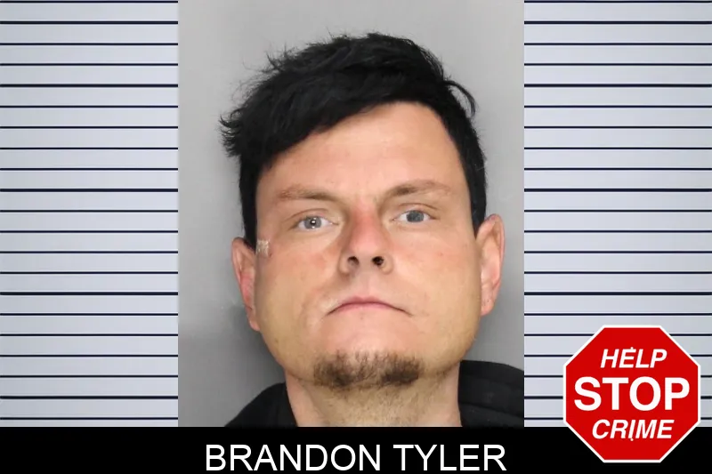 Brandon Tyler Mugshots