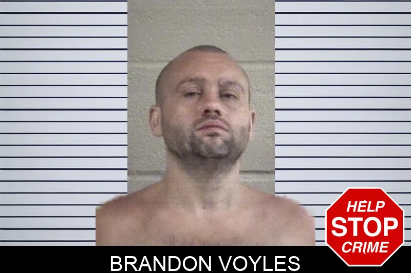 Brandon Voyles Mugshots