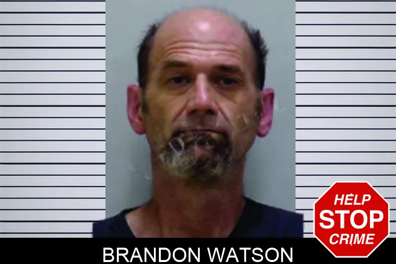 Brandon Watson Mugshots