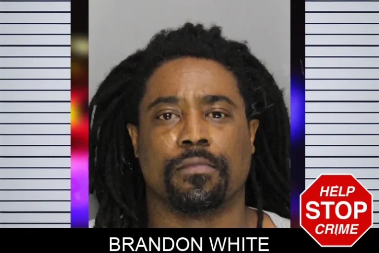 Brandon White mugshot – Cobb County , Georgia Brandon White