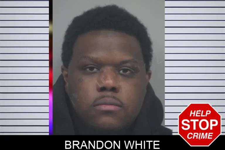 Brandon White mugshot – Gwinnett County , Georgia Brandon White