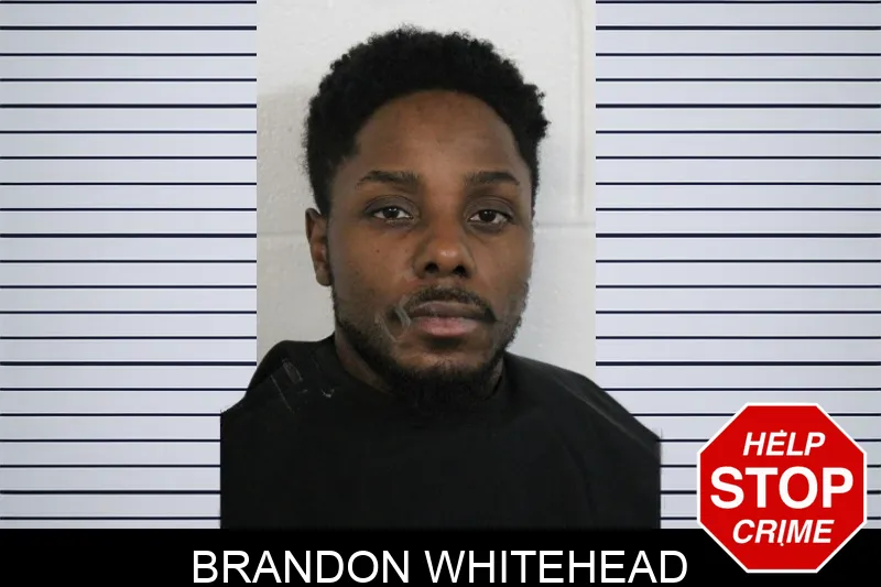 Brandon Whitehead Mugshots