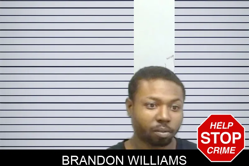 Brandon Williams mugshot