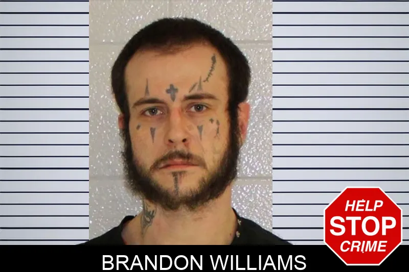 Brandon Williams Mugshots