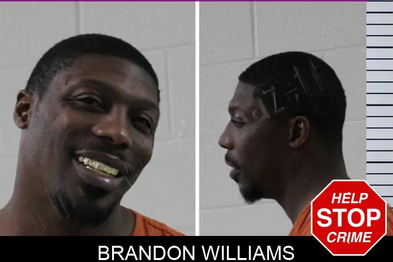 Brandon Williams Mugshots