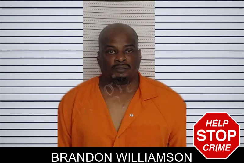 Brandon Williamson Mugshots