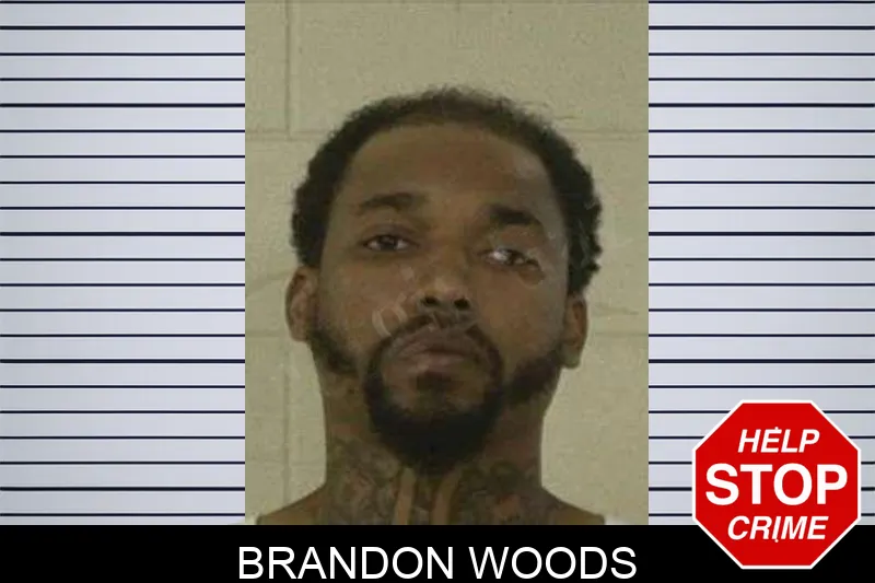 Brandon Woods Mugshots