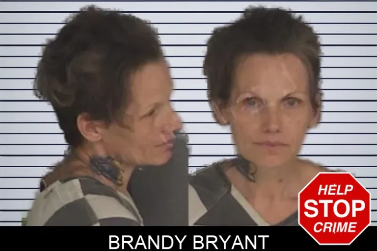 Brandy Bryant