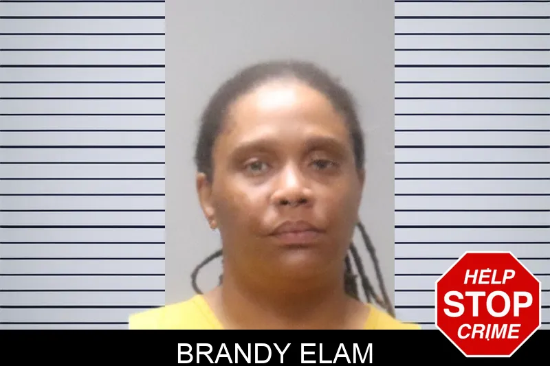 Brandy Elam Mugshots