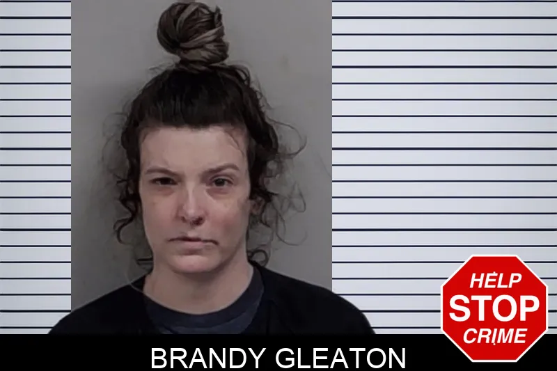 Brandy Gleaton Mugshots