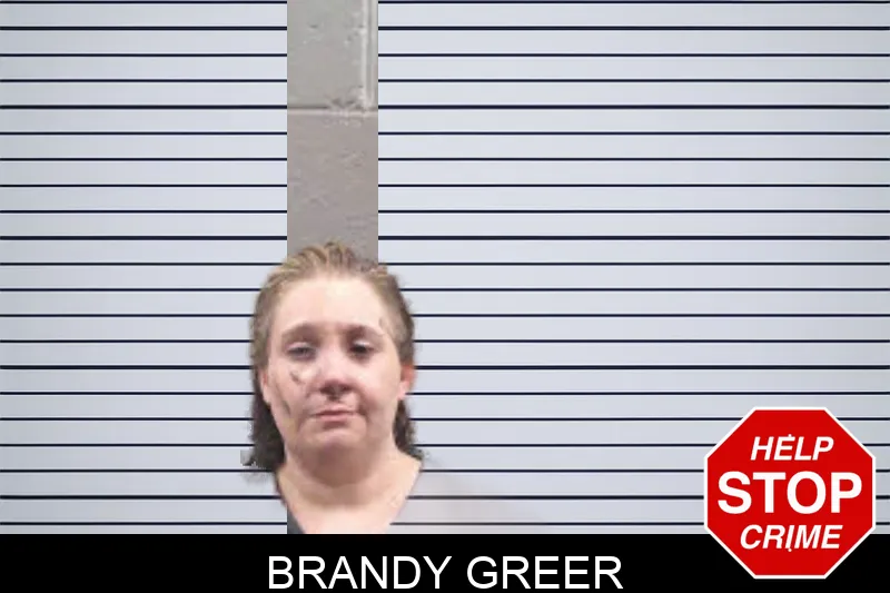Brandy Greer Mugshots