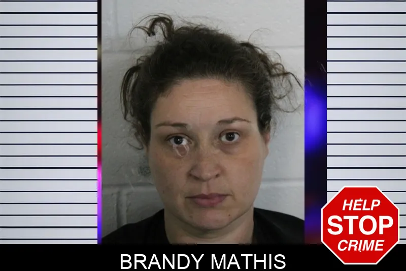 Brandy Mathis mugshot – Floyd County , Georgia Brandy Mathis mugshot