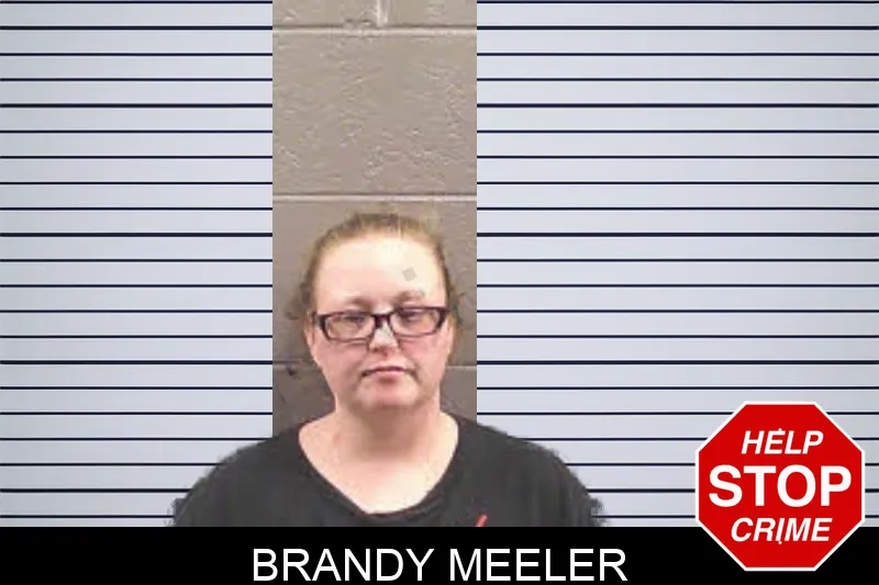 Brandy Meeler Mugshots