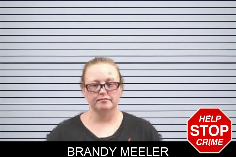 Brandy Meeler Mugshots